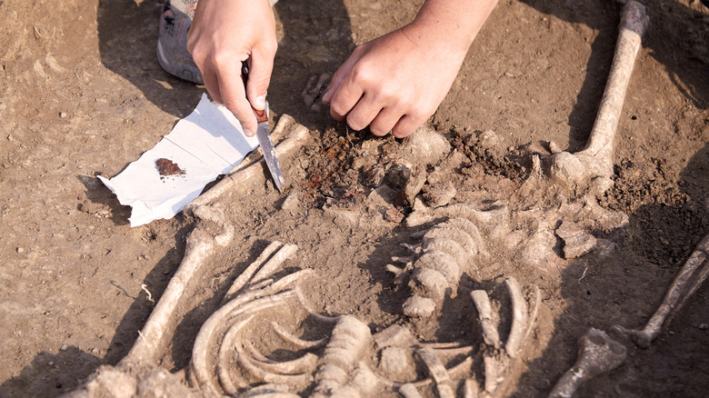 Археологические раскопки с костями