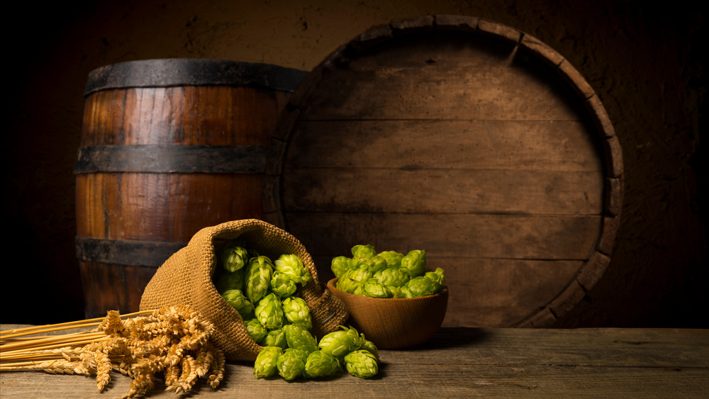 Barrels, hops and barley for some vintage beer making