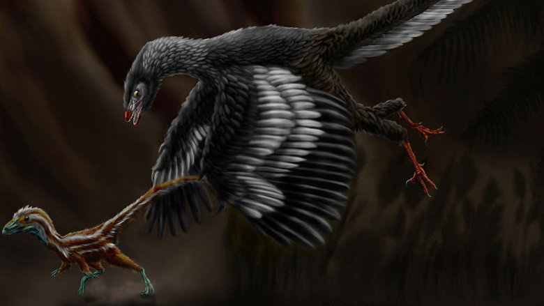 Archaeopteryx