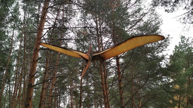 Van Meter Visitor Pterosaur Iowa