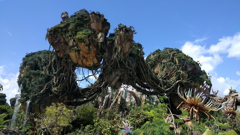 Pandora ride