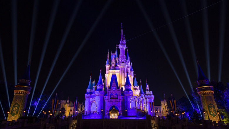 Disney castle at night purple lights