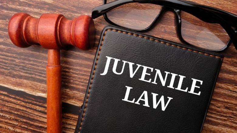 judge's gavel juvenile law sign