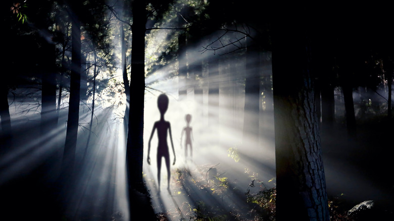 Aliens in forest