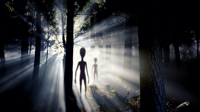 Aliens in forest