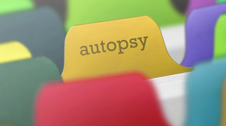 autopsy file tab