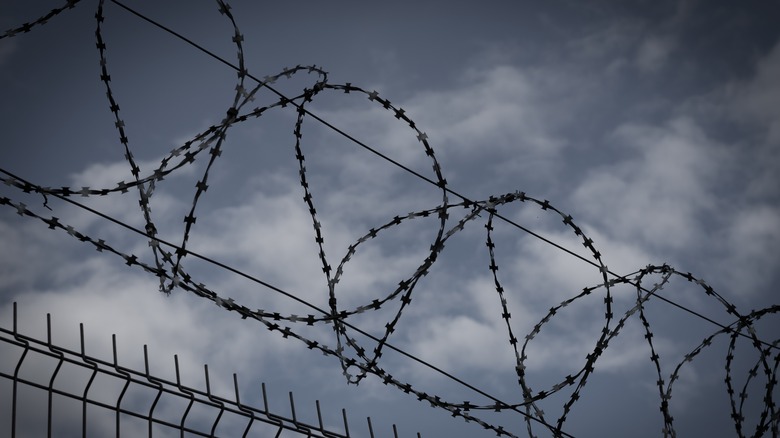 Prison fence 