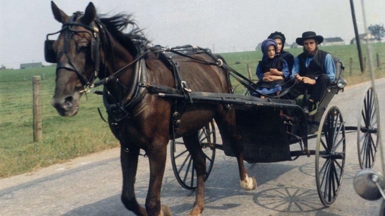 Do Amish People Have To Pay Taxes?