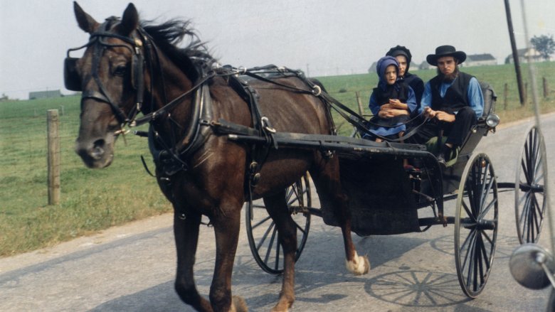 Amish family