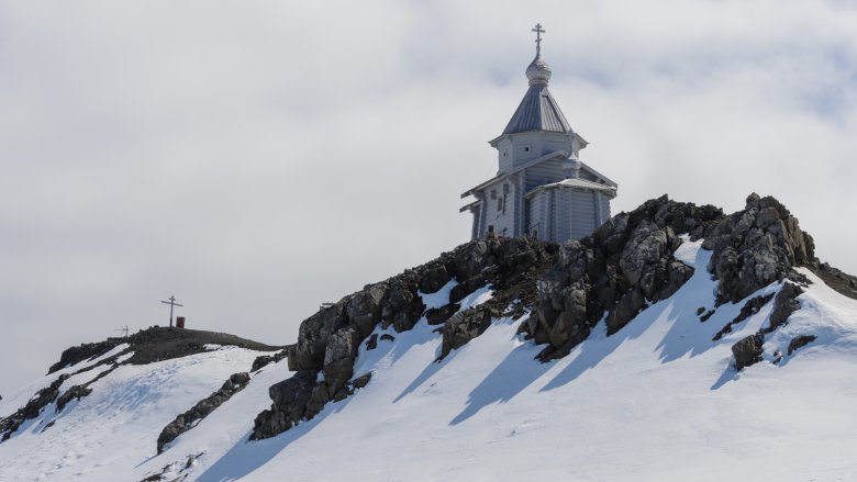 Antarctica, Living, Arctic Life