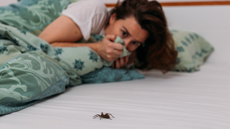 spider crawling toward bed