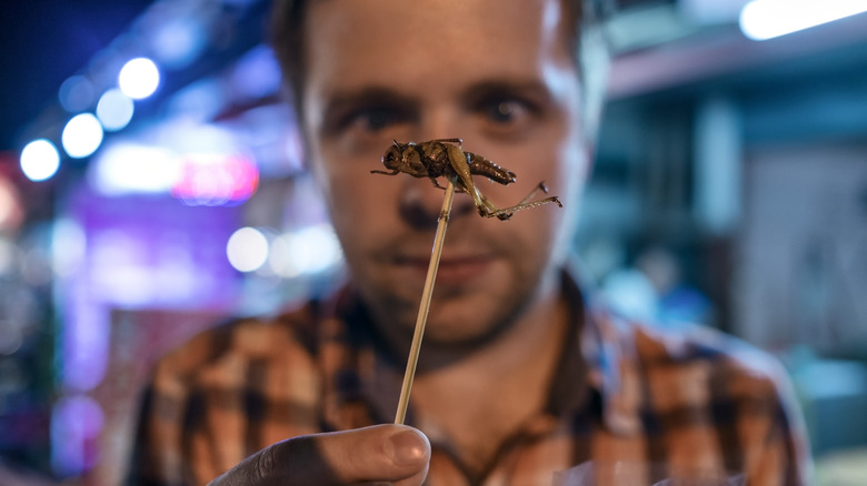 man eating bug