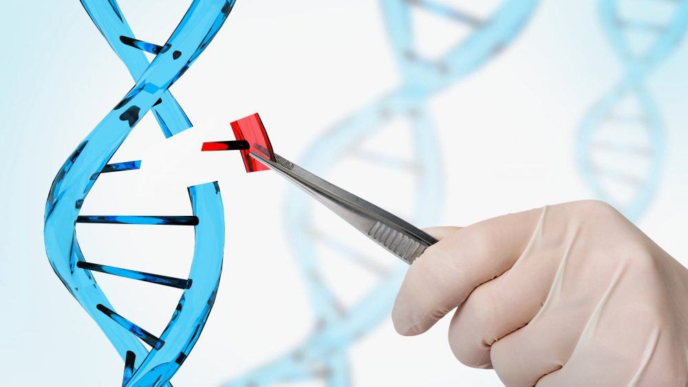 gene editing