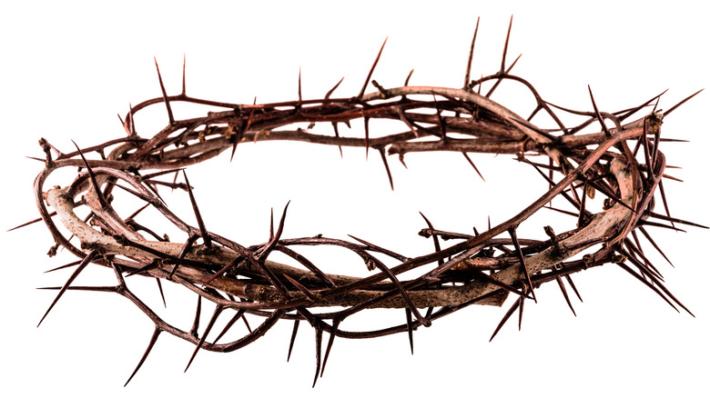 Crown of thorns