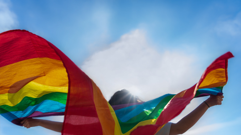 rainbow flag figure sky