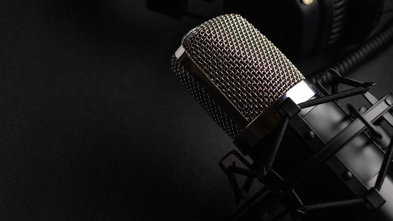 microphone recording speech 
