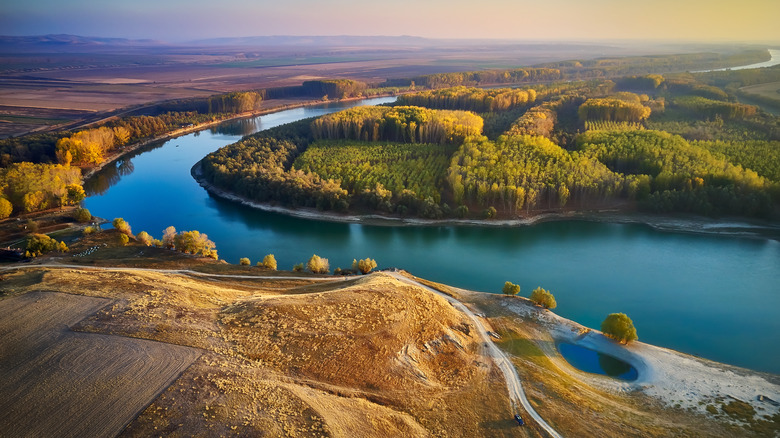 Danube River and forest