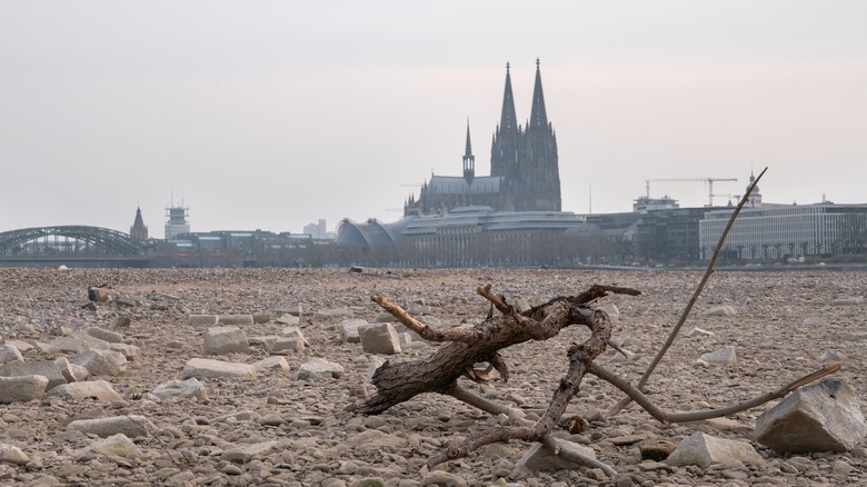 Dried riverbed and city background