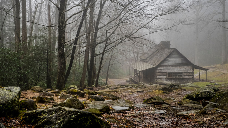 Scary cabin woods