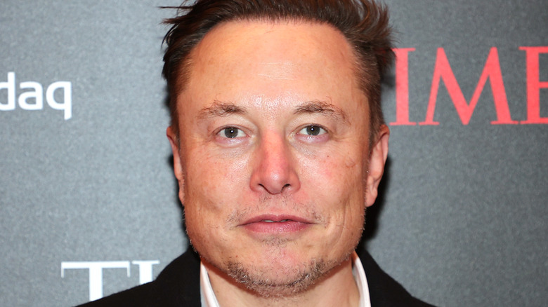 Elon Musk with whiskers