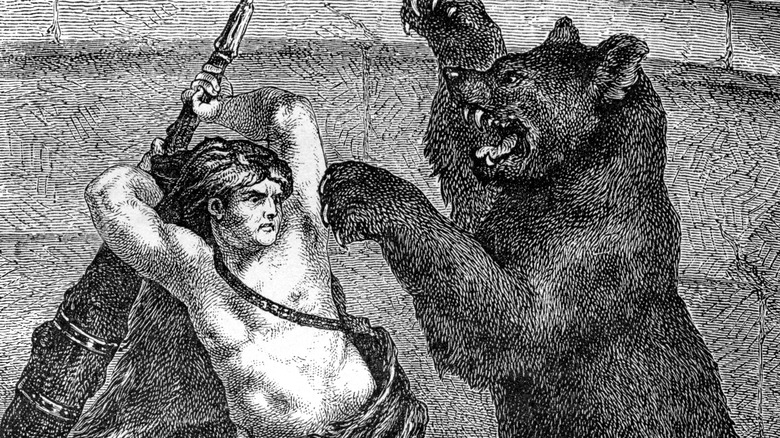 illustration of commodus fighting a bear