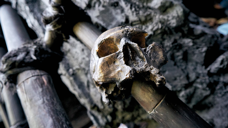 skull on a spike