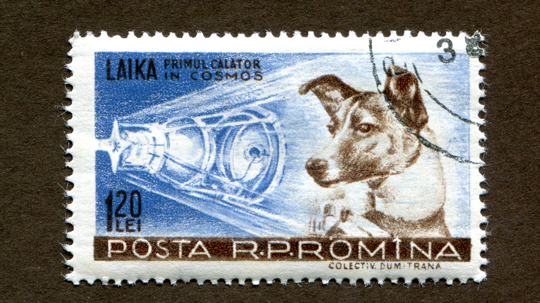 Laika on a Stamp