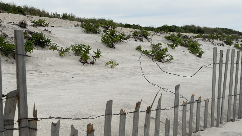 Gilgo beach and fence