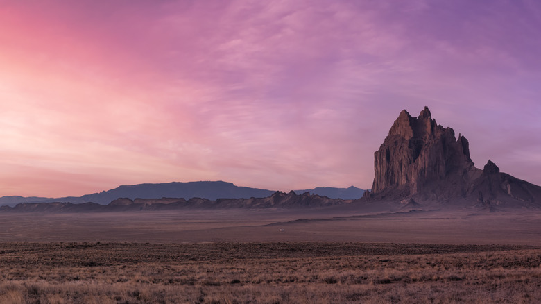 New Mexico desert, pink sunset