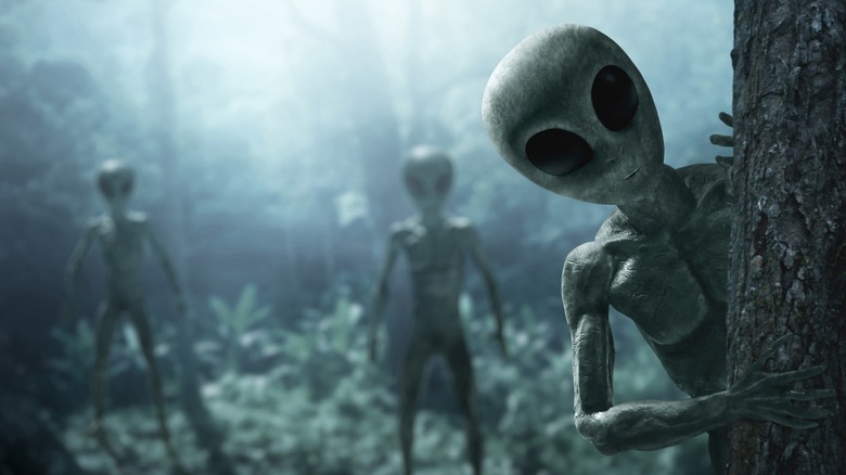 Aliens in the forest 