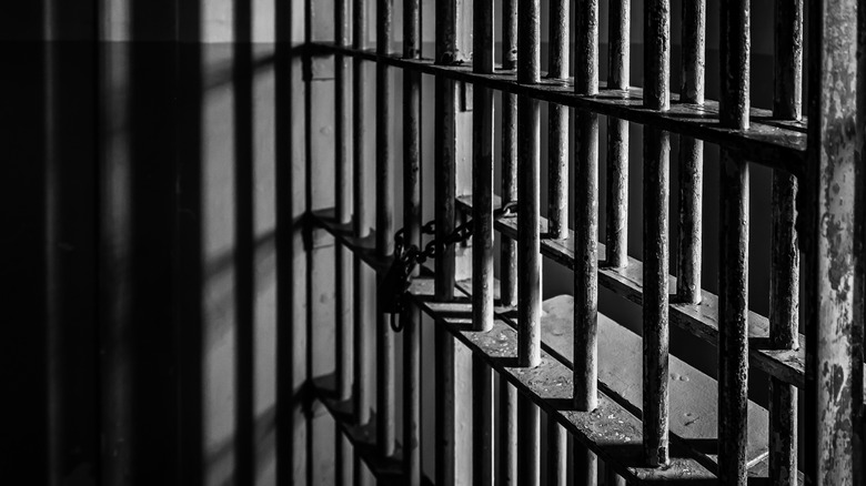 Jail bars