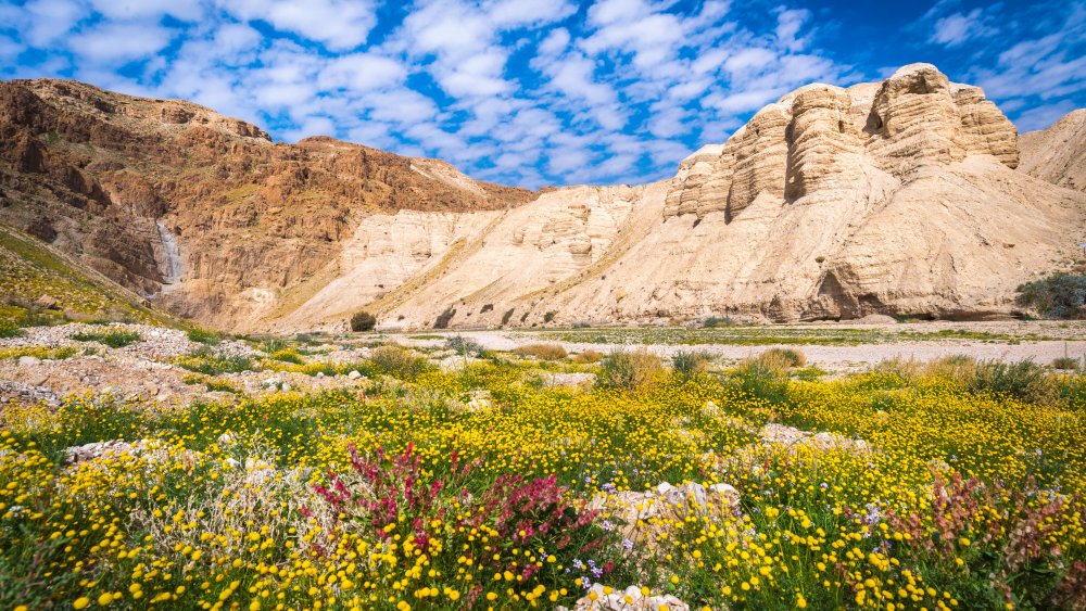 qumran