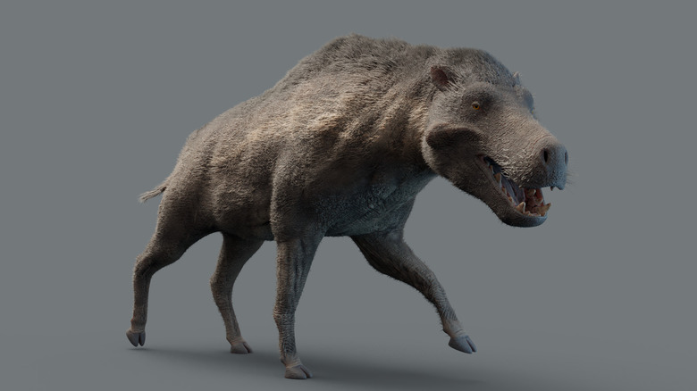 Museum model of Dinohyus (Daeodon)