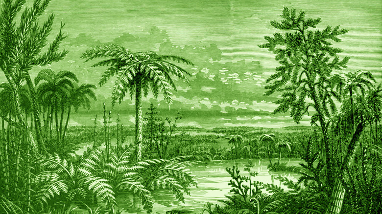 Artists impression of a Carboniferous forest