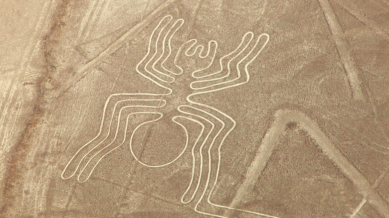 spider image in Nazca Peru