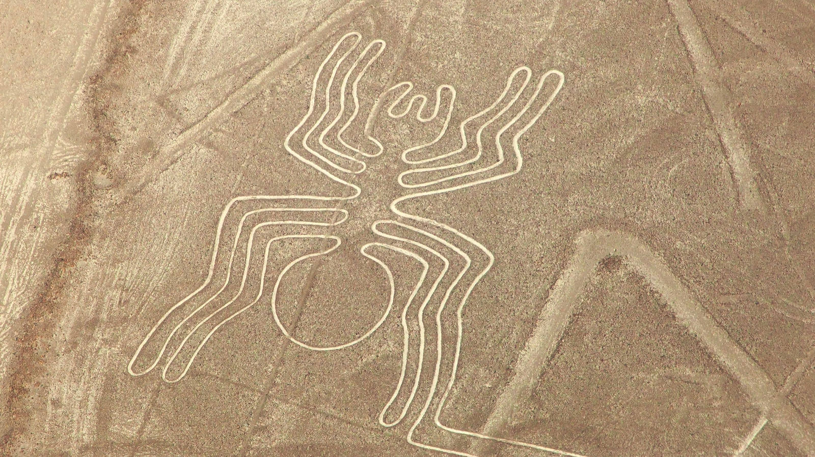 Facts About The 168 Newly-Discovered Ancient Nazca Lines In Peru – Grunge