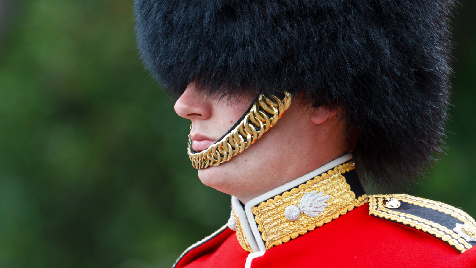 Fainting Among The Queen's Guard Is More Common Than You Think