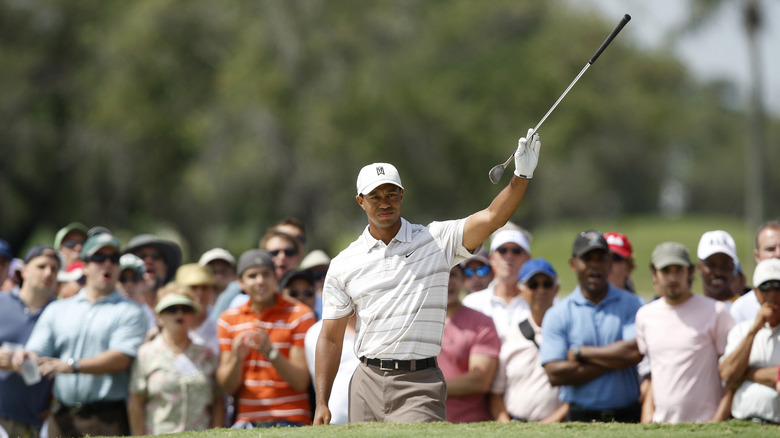 Tiger Woods, 2008