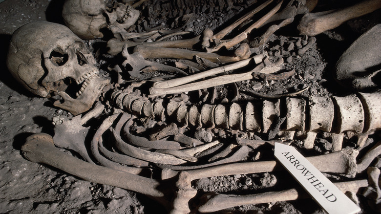 Skeleton in tomb