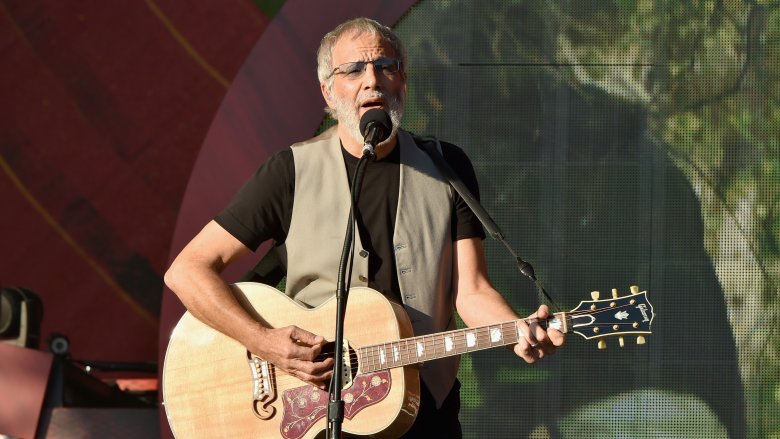 cat stevens