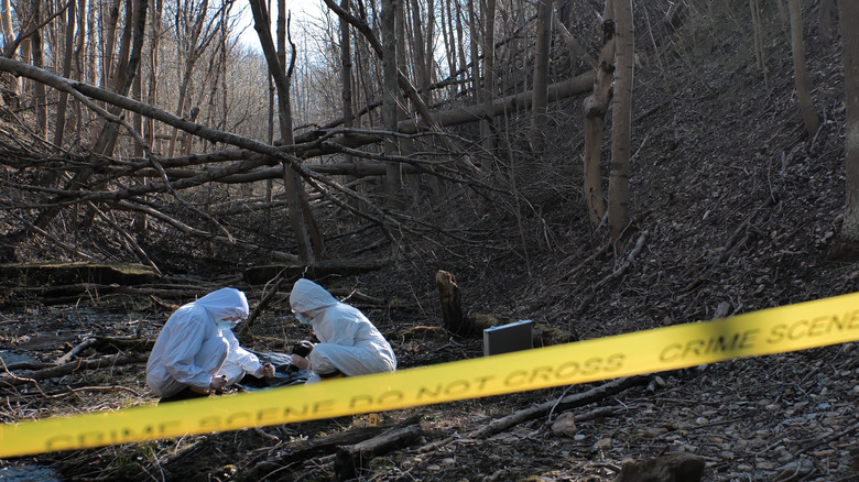 Forensic specialists collect clues in a forest