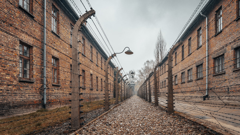 Auschwitz barbed wire path