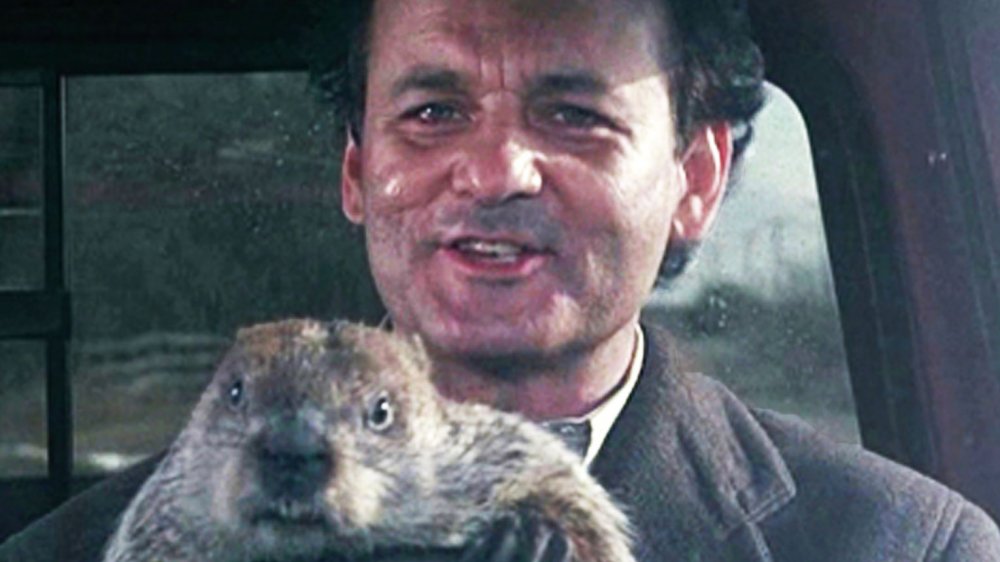 Bill Murray in Groundhog Day