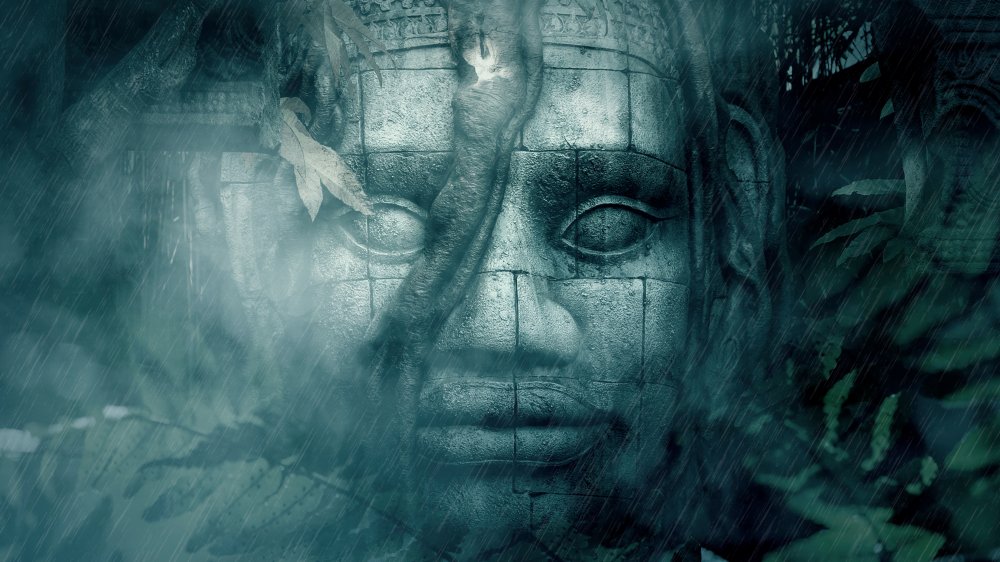 stone face jungle