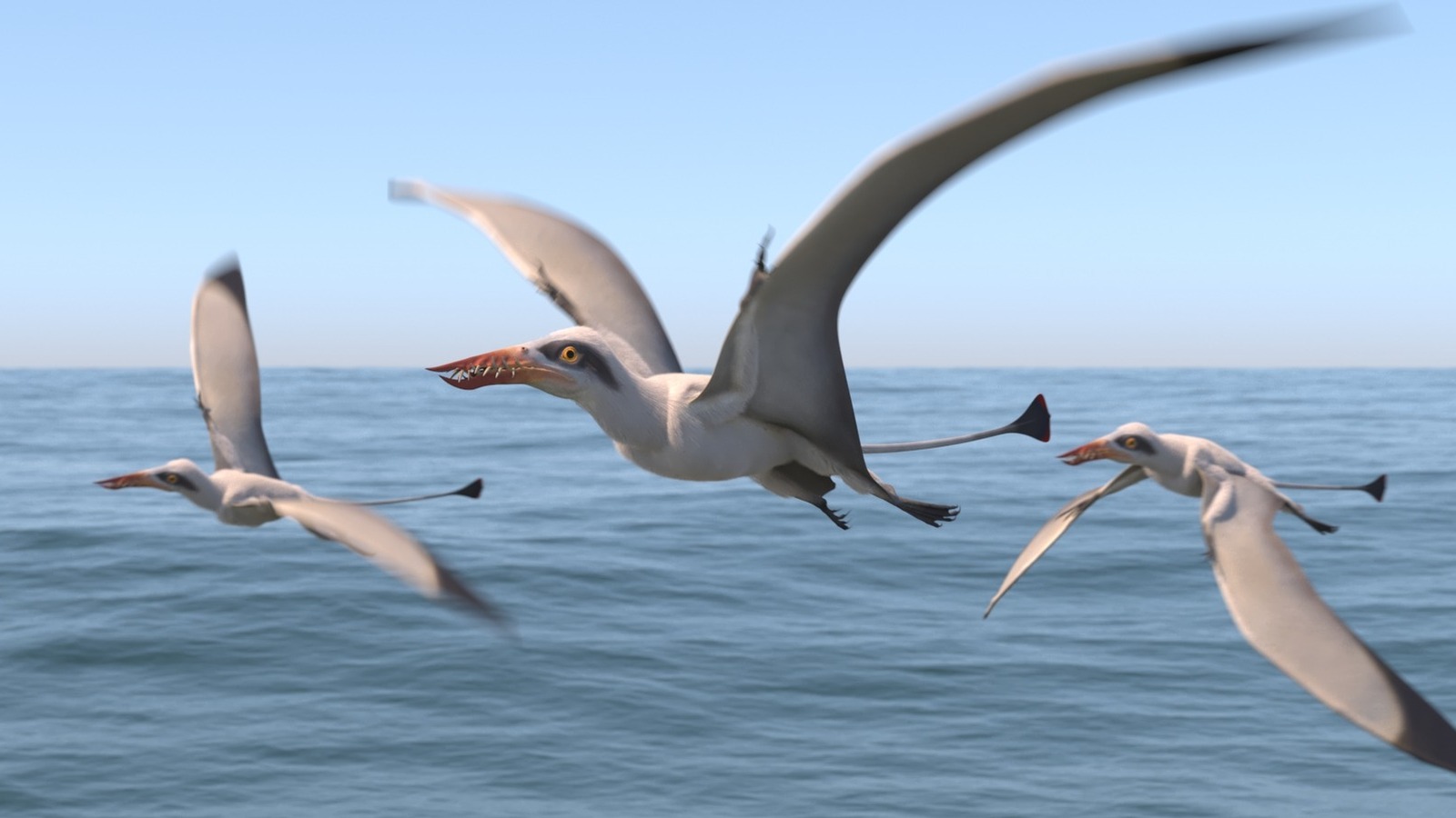 Flying Dinosaurs Names  Pterodactyl, Quetzalcoatlus, & Dimorphodon