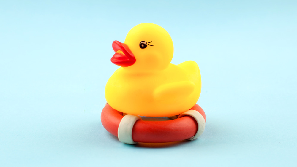 Rescue duck