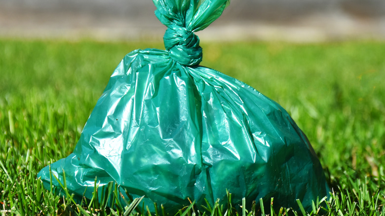 Dog poop bag on grassy lawn