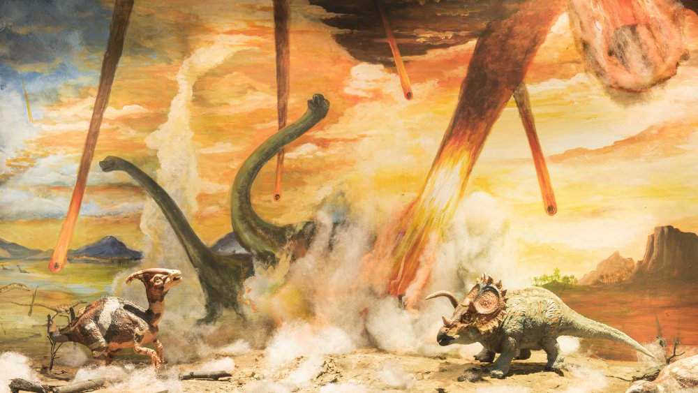 Dinosaur extinction