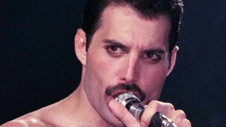 Freddie Mercury