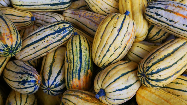 Squash